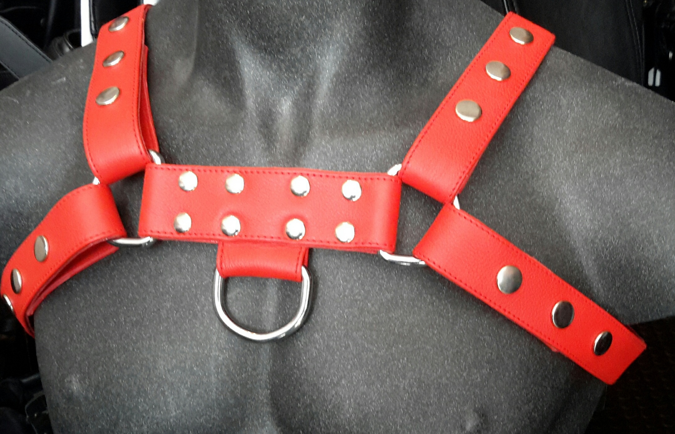 Leather Fetish Freak O.T.S. Harness, Red.